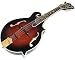 Musical Instruments : Legacy Deluxe E Tobacco Sunburst