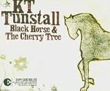 Black Horse & The Cherry Tree