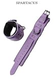 Spartacus - Bracelets poignets cuir violet