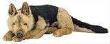 German Shepherd Lap Dog