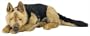 German Shepherd Lap Dog