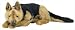 German Shepherd Lap Dog