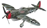 P-47D Thunderbolt Bubbletop 1-32 by Hasegawa