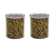 Sprite High Output Shower Filter Replacement Filter TWO PACK - HOC