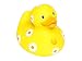 Bud Daisey Duck Mini