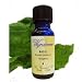 Basil Essential Oil