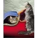 Crinkle Play Bag Cat Toy