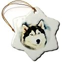 Staring Siberian Husky - 3 Inch Snowflake Porcelain Ornament