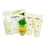 D�tails sur le produit