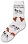 Cavalier King Charles Poses Socks
