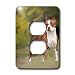 Dogs Pitbull - American Pit Bull Terrier - Light Switch Covers - 2 plug outlet cover