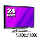 Acer P243WAid - LCD display - TFT - 24" - widescreen - 1920 x 1200 - 400 cd/m2 - 3000:1 (dynamic) - 2 ms - HDMI, DVI-D, VGA - black, silver