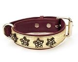 Caserta Italia Quattro Stella Leather Dog Collar with Stars (Gold/Maroon, XLarge)