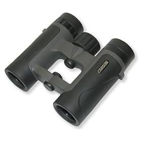 Raven 8x26 Compact Waterproof Binocular