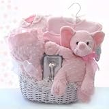 Minky Dots Pink Personalized Gift Basket