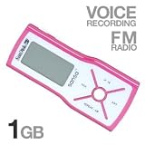 SanDisk Sansa m240 1 GB MP3 Player (Silver)