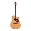 Takamine Supernatural Series TAN15C Dreadnought Acoustic Electric Guitar, Natural with Case