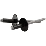 Allstar Performance ALL18168 Black 3/16" Large Head Rivet, (Pack of 250)