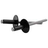 Allstar Performance ALL18168 Black 3/16" Large Head Rivet, (Pack of 250)