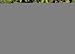 Evergreen 84576 Garden Stone, Dogs Leave Paw Prints on Our Hearts, 11.5-Inche...