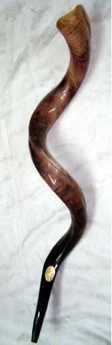Kudu Yemenite Horn Shofar Kosher All Polished Approx 28"-30" New