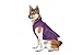 Gooby - Sports Vest, Fleece Lined Small Dog Cold Weather Jacket Coat Sweater with Reflective Lining, Purple, Large