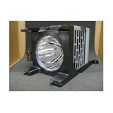 Big Save  TOSHIBA OEM 75007111 Y-196 LAMP WITH HOUSING