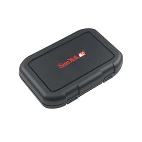 SANDISK LARGE MEMORY CASE