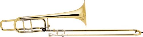 Bach 50B Series Professional Bass Trombone (50B Standard Wrap)