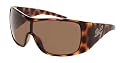 D&G DOLCE & GABBANA DD8033B 8033B 502/73 TORTOISE BROWN PLASTIC FRAME BROWN LENS SUNGLASSES SHADES