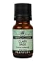 Clary Sage 100% Pure Essential Oil - 10 ml