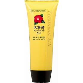 Oshima Tsubaki EX Treatment - 200g