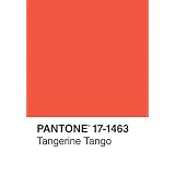Pantone Tangerine Tango 2012 Color of the Year Journal ~ Pantone Inc.