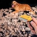 Medium FURminator medium dog