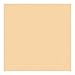 Rosco Roscolux Pale Gold, 20x24" Color Effects Lighting Filter