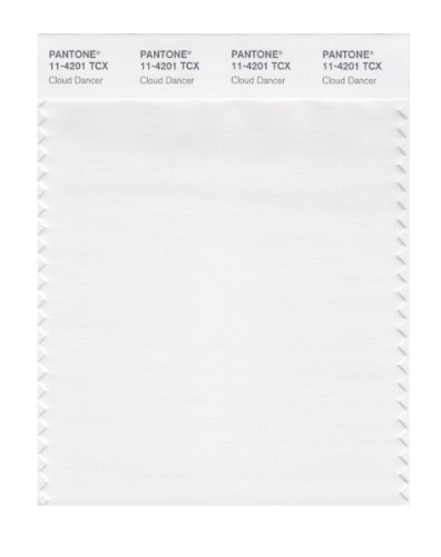 PANTONE SMART 11-4201X Color Swatch Card, Cloud Dancer