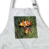 Pair of Clown Anemonefish live in Magnificant Sea Anemone.Solomon Islands - Medium Length Apron With Pouch Pockets 22w X 24l