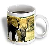 Wild animals - African Elephant - Mugs