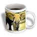 Wild animals - African Elephant - Mugs