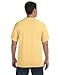 Comfort Colors 6.1 oz. Ringspun Garment-Dyed T-Shirt
