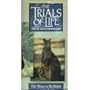 David Attenborough's Trials of Life : Miracle of Birth (Box set of Four Tapes) [VHS]