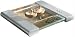 Related SALTER 1018SVDR AQUATRONIC ELECTRONIC GLASS KITCHEN SCALE Image
