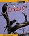 Book A Murder of Crows (Spilsbury, Louise. Animal Groups.)