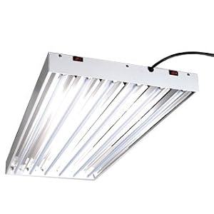 T5 4FT 6 Tube High Output Fluorescent Grow Light w bulbs by 