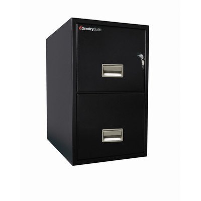 19 6 W X 25 D 2 Drawer Fireproof Key Lock Letter File Safe Finish