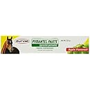 Durvet Pyrantel Paste Wormer, 23.6gm