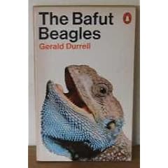 The Bafut Beagles