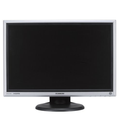 HANNS-G 22 Widescreen TFT LCD Display Monitor (HG216DP0)