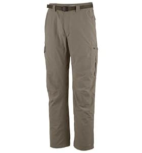 Columbia Men's Silver Ridge Cargo Pant, Tusk, 30X34
