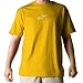 Alpinestars Logo Astar T-Shirt